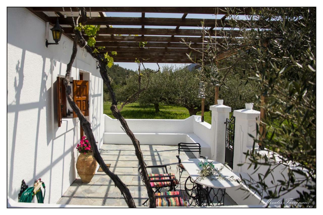 Villa Liodentro House Kárpatos Exterior foto